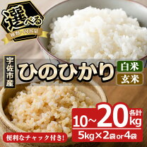 楽天市場】ふるさと納税 ヒノヒカリ 玄米 10kgの通販