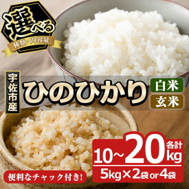 【ふるさと納税】＜先行予約受付中！2025年11月中旬以降順次発送予定＞＜種類・容量を選べる＞＜令和7年産・新米＞ひのひかり 白米 玄米(各計10kg or 20kg)お米 ヒノヒカリ 美白米 真空パック 真空包装 【114900104・114900500・114900304・114900600】【祥田産業】