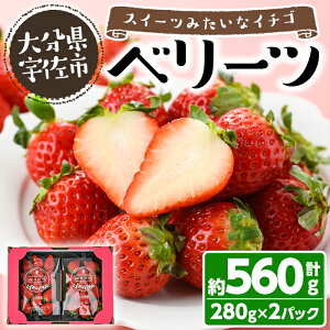 yӂ邳Ɣ[Łzs\tA2026N1{`3{ɏ\聄ʌ聄x[c  (v560gE280g×2pbN)  C`S t[c ʕ  ʎ x[cy115800300