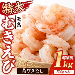 yӂ邳Ɣ[ŁzVR  ނ (v1kgE500g×2P) Gr  CV w^ w^Ȃ  嗱 ^ oⓀ CN Mp ȒP Z ۑsgpy116200200zyliYz