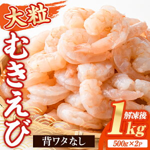 yӂ邳Ɣ[Łz 嗱 ނ (v1kgE500g×2P) Gr  CV w^ w^Ȃ  ^ oiC oⓀ CN Mp ȒP Z ۑsgpy116200300zyliYz