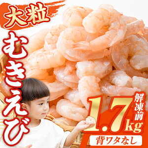 yӂ邳Ɣ[Łz15猏z̑lCԗi 嗱 ނ (𓀑O1.7kg) Gr  CV w^ w^Ȃ  ^ oiCGr oiC o oⓀ CNp ȒP 