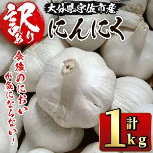 yӂ邳Ɣ[Łz󂠂EsĤɂCɂȂȂjjN(v1kg) ɂɂ jjN ؁y116600200zyVCYhAOz