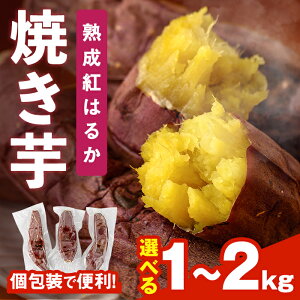 yӂ邳Ɣ[Łzs\tI2025N12{珇\聄eʂIׂIĂ ng͂邩(1`2kg) Ă ₫ ܂ Tc}C g͂邩   