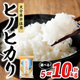 【ふるさと納税】＜容量が選べる！＞ ヒノヒカリ 白米 (計5kg or 10kg) お米 ごはん ご飯 ひのひかり 数量限定 【117800101・117800201】【ジョイライス大分】