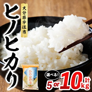 �y�ӂ邳�Ɣ[�Łz���e�ʂ��I�ׂ�I�� �q�m�q�J�� ���� (�v5kg or 10kg) ���� ���͂� ���� �Ђ̂Ђ��� ���ʌ��� �y117800101�E117800201�z�y�W���C���C�X�啪�z