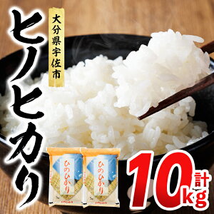 yӂ邳Ɣ[Łzs\tI2025N12{菇\聄eʂIׂI qmqJ  (v5kg or 10kg)  ͂  Ђ̂Ђ ʌ y117800100E117800200zyWC