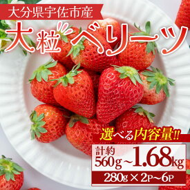 【ふるさと納税】＜選べる！内容量＞＜2026年1月上旬〜3月下旬の間に発送予定＞大粒いちご(計約560g～1.68kg・280g×2P~6P)苺 イチゴ フルーツ 果物 くだもの 果実 ベリーツ 大粒【117900400・117900500・117900600】【Farm U.S.A.】