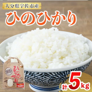 �y�ӂ邳�Ɣ[�Łz �Ђ̂Ђ��� (�v5kg) �� ���� �Ђ̂Ђ��� �q�m�q�J�� ���� ���� �啪���Y�y118500200�z�y���@�_�Y�z