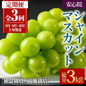 yӂ邳Ɣ[Łz ցES3(A)VC}XJbg (3kgE1kg×3) Ԃǂ  t[c ʕ  s\tI2026N8{珇\聄 kCAA