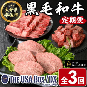 yӂ邳Ɣ[ŁzցES3(u)a3 THE USA Box/DX(TCRXe[L400gA~XWXe[L400gAJr500g)  јa A4  Xe[L Zbg l lߍ