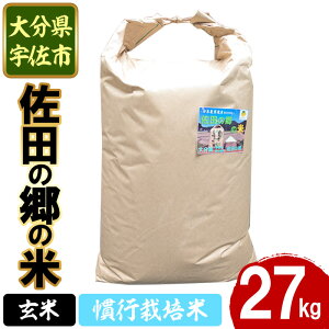 yӂ邳Ɣ[ŁzVāEߘa7NYc̋̕  s͔|(27kg)  ͂ qmqJ Ђ̂Ђ uh 퉷 퉷ۑy111700903zyݒuvWFNg@c̋̉