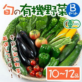 【ふるさと納税】＜期間限定＞旬の有機野菜セットB(10〜12品)やさい 詰合せ 詰め合わせ 季節 おまかせ お楽しみ【114500201】【さとう有機農園】