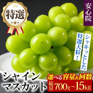yӂ邳Ɣ[ŁzI VC}XJbg yr[Ly[{z (700g/5kg×1E3) s\tI2025N8{菇\聄kC  zsԂǂ 