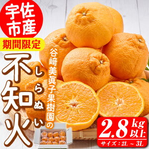 【ふるさと納税】<先行予約受付中!2026年3月上旬〜4月上旬の間に発送予定>不知火(2L〜3L・2.8kg〜)みかん フルーツ しらぬい 柑橘 ミカン【113300300】【谷崎美眞子果樹園】