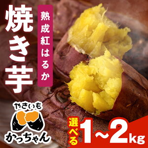 yӂ邳Ɣ[Łzs\tI2025N12{珇\聄eʂIׂIĂ ng͂邩(1`2kg) Ă ₫ ܂ Tc}C g͂邩   