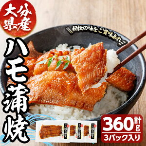 �y�ӂ邳�Ɣ[�Łz�n������ (�v360g) �� �͂� �Ⓚ �y�� ���� ���ΏĂ� ���߂邾�� ������ �����߂��y101901700�z�y��쐅�Y�z