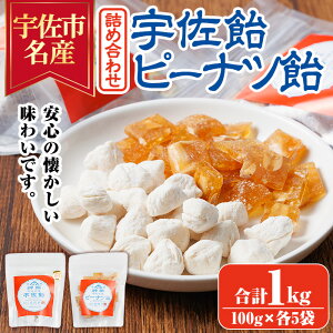 yӂ邳Ɣ[ŁzFEs[ic lߍ킹(v1kgE100g×e5) s[ibc  َq   Ԑ y112800601zyz