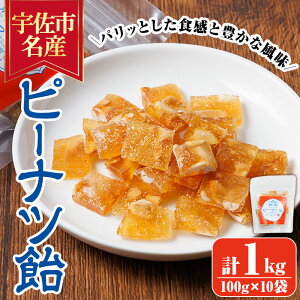 yӂ邳Ɣ[Łzs[ic(v1kgE100g×10) s[ibc  َq   Ԑ y112800401zyz