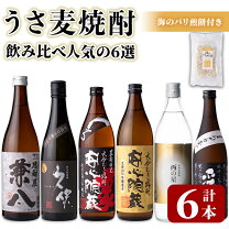 楽天市場】兼八（本数（酒類）6本）（焼酎｜日本酒・焼酎）の通販