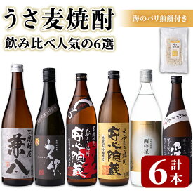 【ふるさと納税】うさ 麦焼酎 飲み比べ 人気の6選(合計4.86L・6本+10g)兼八・久保・安心院蔵・安心院蔵黒麹・西の星・爲ゝ(ためしてん) 酒 お酒 むぎ焼酎 煎餅 せんべい おつまみ付き アルコール 飲料 常温 セット【101601401】【江戸心本館USA　未来ファクトリー事業部】