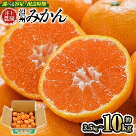 【ふるさと納税】＜先行予約受付中！11月上旬より順次発送予定＞温州みかん (約3.5kg・5kg・10kg) みかん ミカン 蜜柑 うんしゅうみかん 柑橘 早生 フルーツ 果物 くだもの 果実 国産＜数量限定＞＜容量・配送時期が選べる＞【103600700・103600101・103600201】【井上農園】