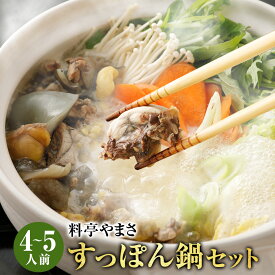 【ふるさと納税】料亭やまさ すっぽん鍋セット(4~5人前)すっぽん スッポン 鍋 お鍋 珍味 切り身 調味料付き セット【105900500】【やまさ】