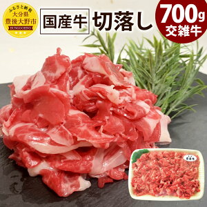 yӂ邳Ɣ[Łz啪Y G ؗ 700g Y   ؂藎Ƃ Ă Ⴊ  J[ Ⓚ Y 啪 B 