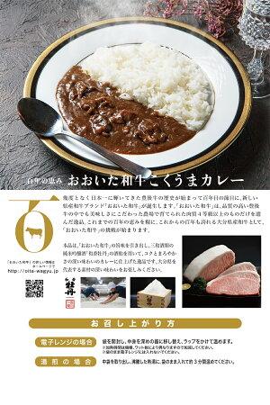【ふるさと納税】ひのひかり5kgとご飯のお供セット(肉味噌おおいた和牛こくうまカレー各200g)詰め合わせ詰合せセットヒノヒカリお米米こめおこめごはん令和3年産精米白米カレー和牛味噌みそ国産九州産大分県産JA米どころ送料無料