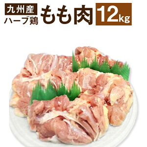 yӂ邳Ɣ[ŁzyƖpz 啪Y n[u{  Iׂ遄 2kgE4kgE12kg 1pbN2kg {   啪 Ls  yVX[p[SALE 9J