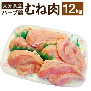 yӂ邳Ɣ[ŁzyƖpz 啪Y n[u{ ނ˓ Iׂ遄 2kgE6kgE12kg 1pbN2kg { l 啪 Ls  yVX[p[SALE 9J