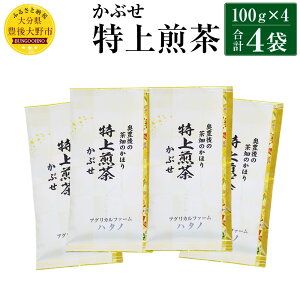 yӂ邳Ɣ[Łz Ԃ 100g×4 400g 啪Y  { t Zbg GRt@[}[F_ _ w엿͔|