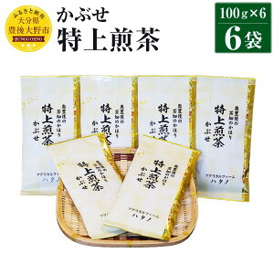 yӂ邳Ɣ[Łz Ԃ 100g×6 600g 啪Y  { t Zbg GRt@[}[F_ _ w엿͔| yVX[p[SALE 9J