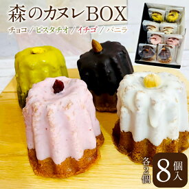 【ふるさと納税】森のカヌレBOX イスベルグ 1箱 8個入 4種 各2個 米粉 カヌレ ピスタチオ チョコ チョコレート イチゴ バニラ 黒糖 レーズン ニッケ 焼菓子 焼き菓子 お菓子 洋菓子 詰め合わせ セット ギフト 贈り物 贈答 国産 九州 大分県 冷凍