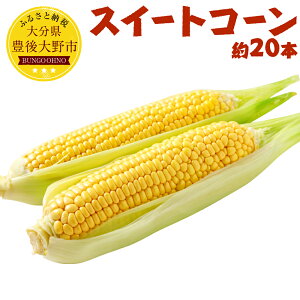 【ふるさと納税】スイートコーン約20本とうもろこし野菜豊後大野市産九州送料無料
