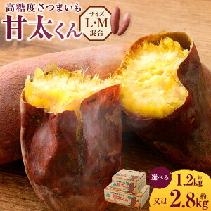yӂ邳Ɣ[Łzx܂ Ñ Iׂ遄 1.2kg 2.8kg LTCY MTCY ܂ ׂɂ͂邩 g͂邩  F Ï  Ă  Y 啪 Ls 