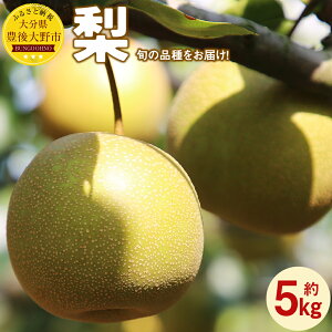 yӂ邳Ɣ[Łzys\z啪 LsY  eʂIׂ遄 3kg ܂ 5kg Ȃ K L V V t[c ʕ  ʎ 啪Y \  i͑Iׂ܂