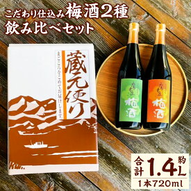 【ふるさと納税】浜嶋酒造 こだわりの仕込みを味わう 鷹来屋 梅酒 2種 飲み比べ セット 合計約1.4L 粕取焼酎仕込 日本酒仕込 各720ml 南高梅 梅 リキュール お酒 アルコール ギフト 贈り物 贈答 国産 九州 大分県 送料無料