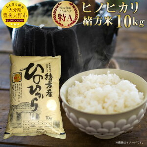 【ふるさと納税】大分県産ヒノヒカリ(緒方米)10kg平成30年産ひのひかり特A白米お米米コメ送料無料