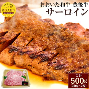 yӂ邳Ɣ[Łza L㋍ T[C 250g×2 v500g Y T[CXe[L A4N  BY 啪Yјa  yVX[p[SALE 9J