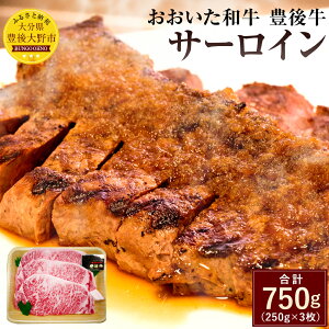 yӂ邳Ɣ[Łza L㋍ T[C 250g×3 v750g Y T[CXe[L A4N  BY 啪Yјa  yVX[p[SALE 9J