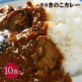 【ふるさと納税】豊後 きのこ カレー 10食 180g×10食 10人前 椎茸 大分県産 レトルト 簡単 九州産 送料無料