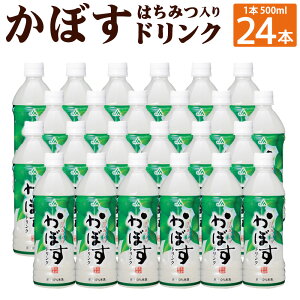 yӂ邳Ɣ[ŁzڂhN 500ml×24{ 1P[X 啪Yڂʏ`gp ݂͂ J{X  ʏ` ڂʏ` 10 X|[chN X|[c W[X BY 
