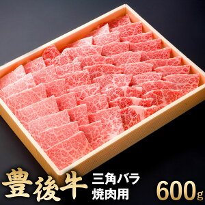 yӂ邳Ɣ[ŁzL㋍ Opo ēp 600g   Ă o[xL[ BBQ Ⓚ Y 啪 BY 