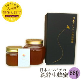 【ふるさと納税】日本ミツバチの純粋生蜂蜜 880g（220g×1、660g×1） ハチミツ 国産 生はちみつ 生蜂蜜 和蜂 大分県産 豊後大野産 ギフト 贈り物 送料無料