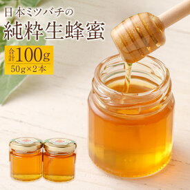 【ふるさと納税】日本ミツバチの純粋生蜂蜜 100g 50g×2本 セット はちみつ ハチミツ ハニー 蜂蜜 生はちみつ ギフト 贈り物 贈答 国産 九州 大分県 豊後大野市 送料無料