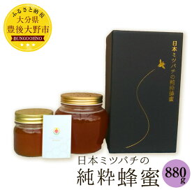 【ふるさと納税】日本ミツバチの純粋蜂蜜 880g (220g×1、660g×1) ハチミツ 純粋蜂蜜 日本蜜蜂 和蜂 大分県産 豊後大野産 ギフト 贈り物 送料無料