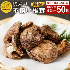 yӂ邳Ɣ[ŁzV 󂠂 ső Iׂ遄 10 50 Zbg 140g 50g ő VC^P ő    啪Y BY y2025N4{ȍ~