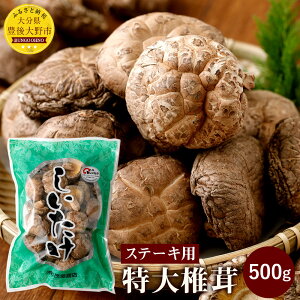 yӂ邳Ɣ[ŁzyXe[Lpző 500g 啪LsY   B ؍͔|  yVX[p[SALE 9J