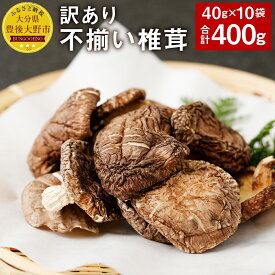 【ふるさと納税】訳あり 不揃い椎茸 10袋セット 40g×10袋 合計400g セット 椎茸 乾燥シイタケ 乾椎茸 しいたけ おすそ分け 小分け 大分県産 九州産 送料無料